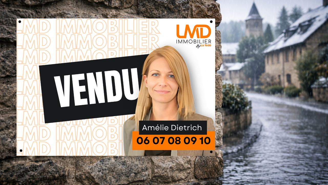 Ivoire Mise en situation